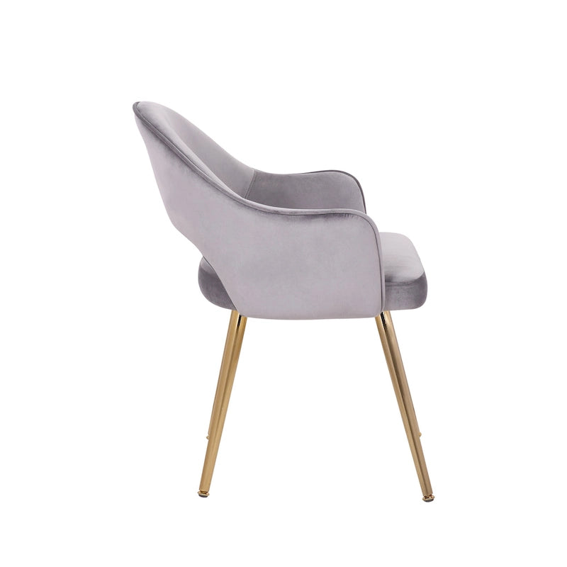 Velvet Dining Chair with Padded Seat, Set of 2