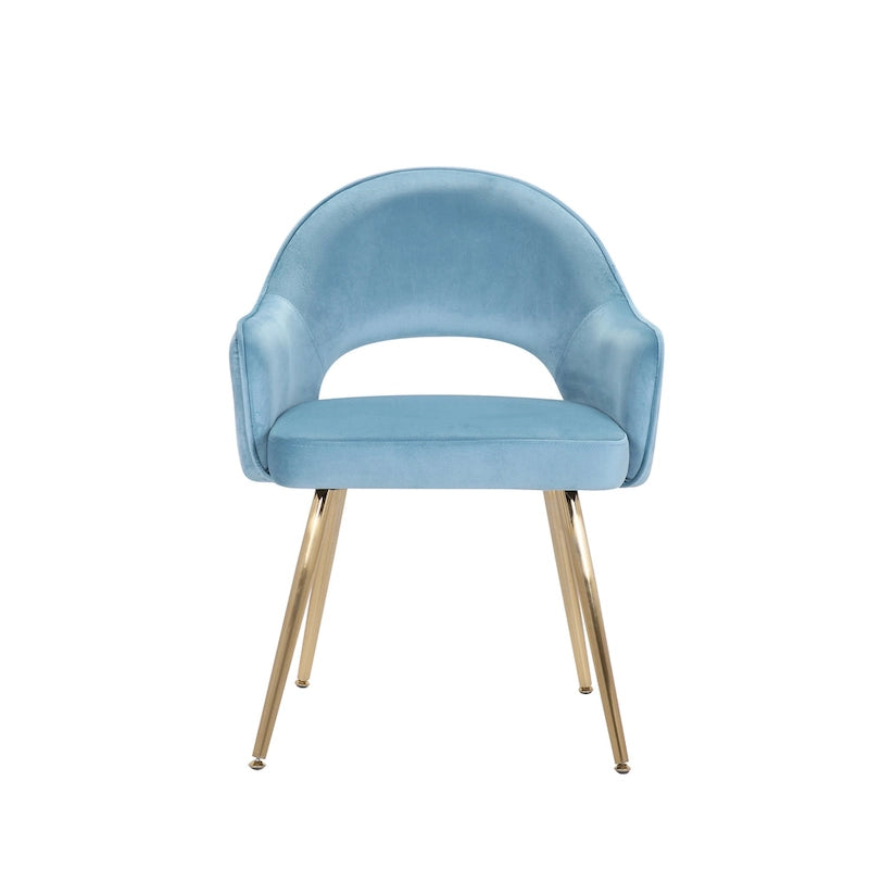 Velvet Dining Chair with Padded Seat, Set of 2