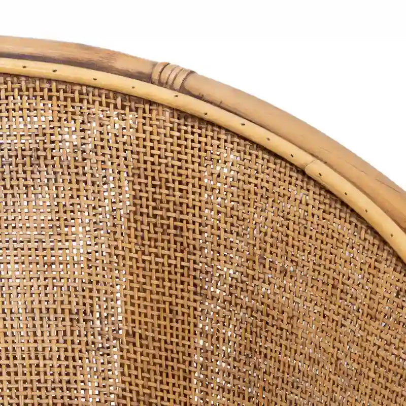 Rattan Accent Chair with Cushion, Honey Brown Bamboo Frame