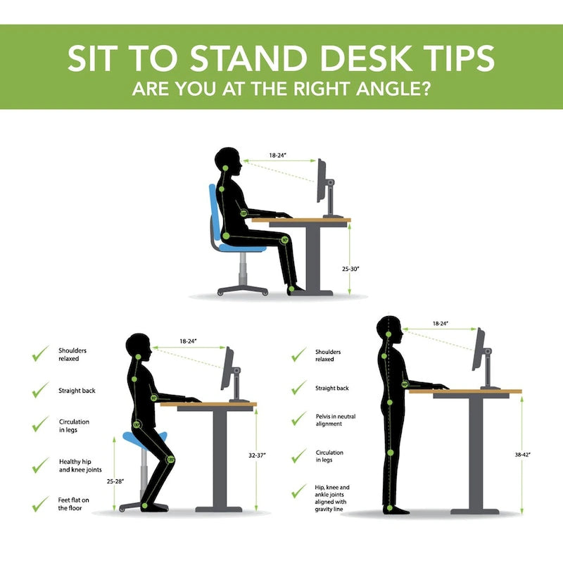 Electric Height Adjustable Standing Desk 55W x 24D with 4 Presets