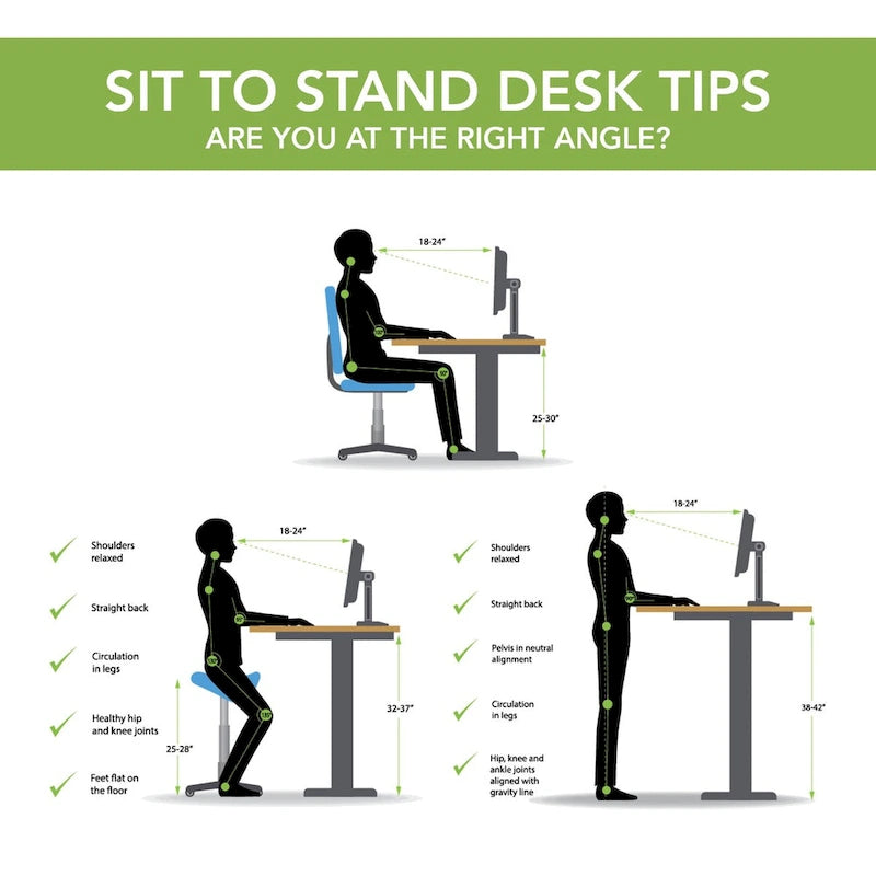 Electric Height Adjustable Standing Desk 55W x 24D with 4 Presets