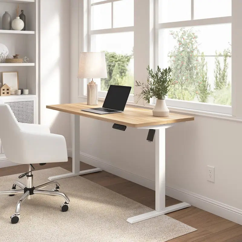 Electric Height Adjustable Standing Desk 55W x 24D with 4 Presets
