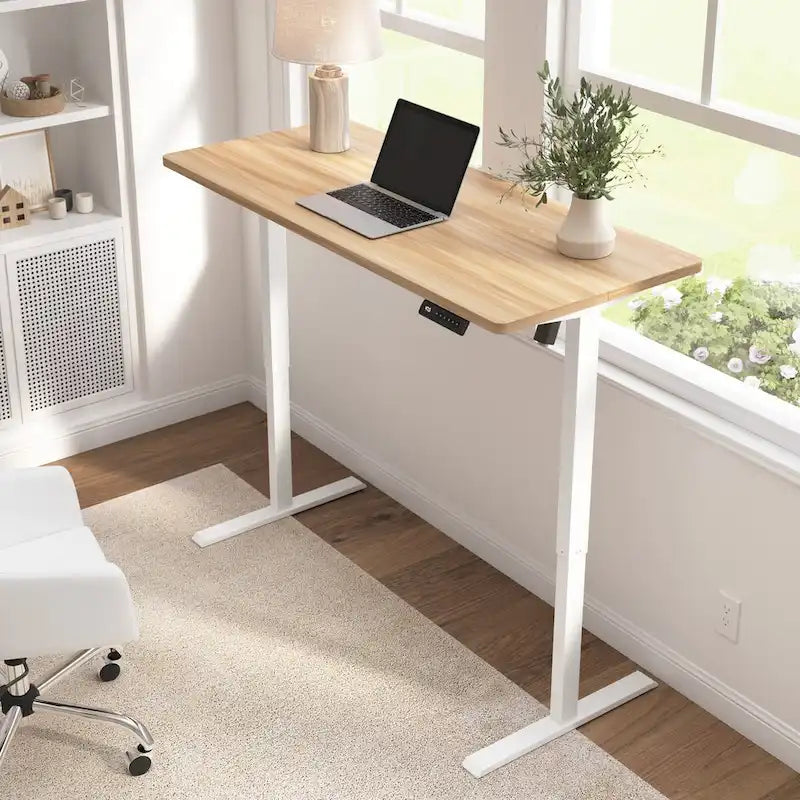 Electric Height Adjustable Standing Desk 55W x 24D with 4 Presets