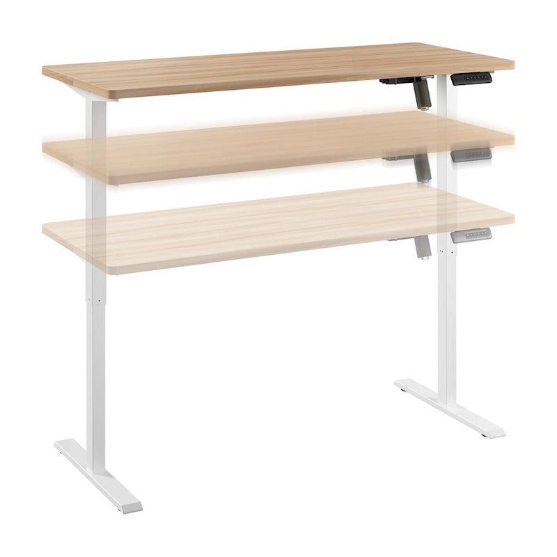 Electric Height Adjustable Standing Desk 55W x 24D with 4 Presets